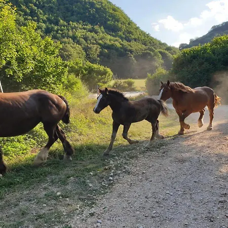Un Giardino Nel Bosco * Ovindoli