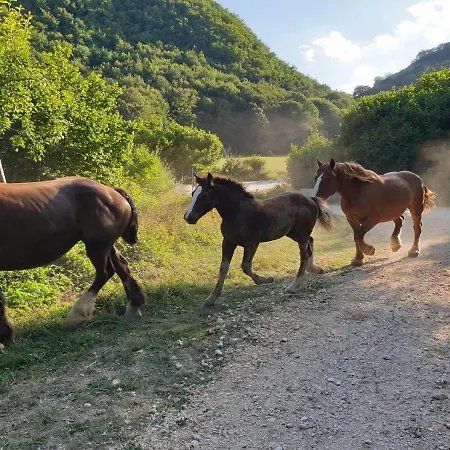 Un Giardino Nel Bosco * Ovindoli